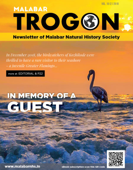 Trogon Cover