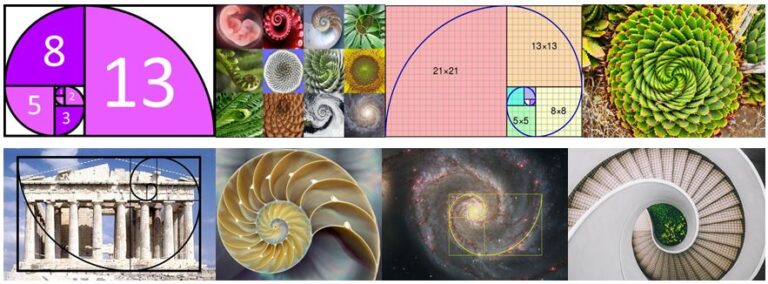 fibonacci spiral aloe